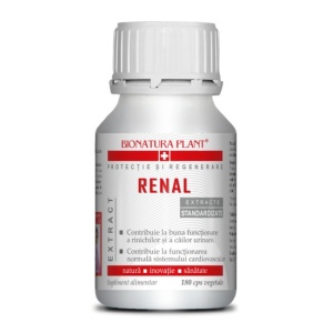 Renal - Img 3