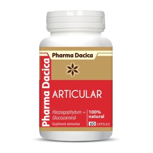 Articular Protect-60 Cps - Img 3