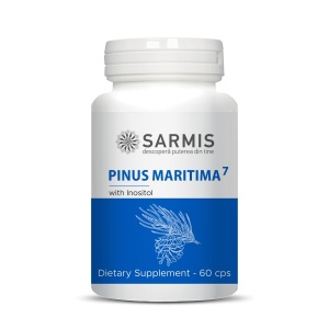 Pinus Maritima7 - 60 cps - Img 3