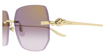 Cartier Panthère CT0549S - Img 3