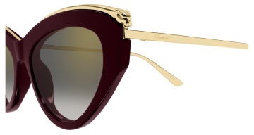 Cartier Panthère CT0596S - Img 3