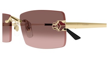 Cartier Panthère CT0598S - Img 3