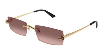 Cartier Panthère CT0598S - Img 2