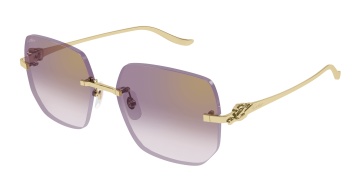 Cartier Panthère CT0549S - Img 2