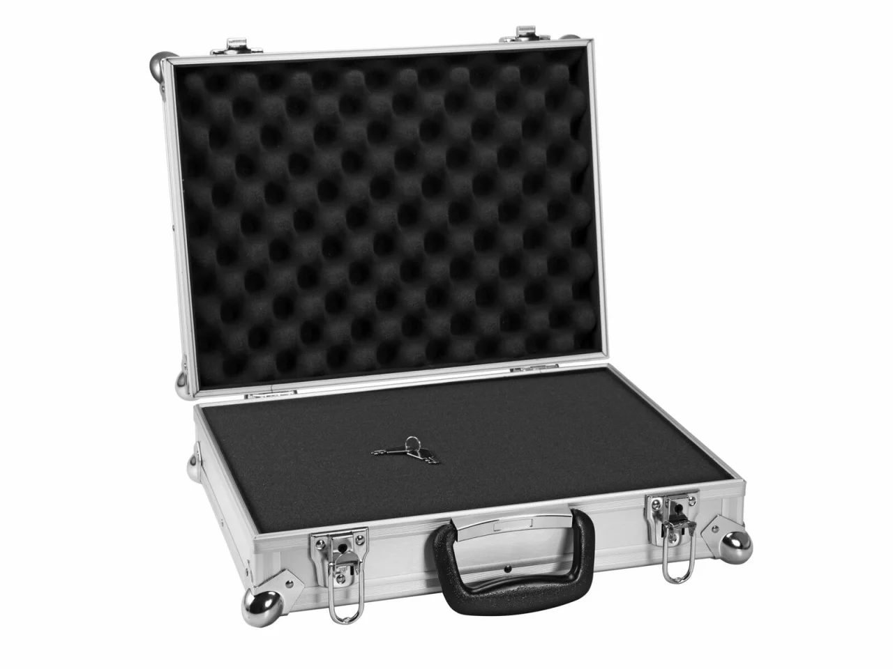 Accesorii microfoane