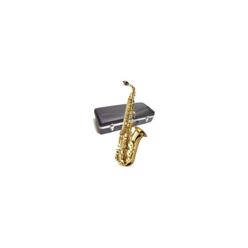 Saxofon alto J. Michael AL-500N