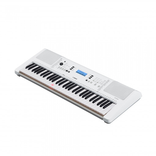 Yamaha EZ300
