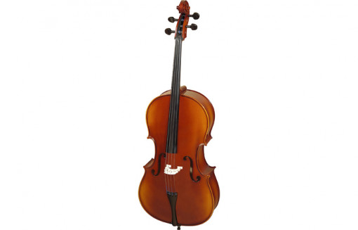 Hora Reghin Violoncel 4/4 Standard placaj