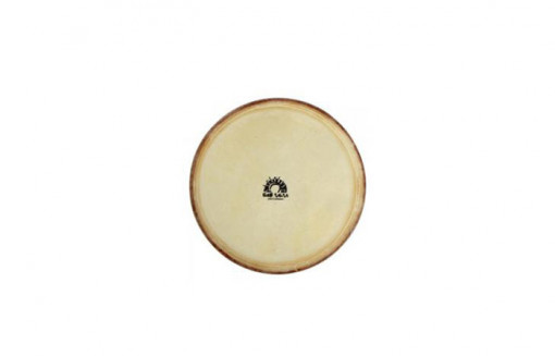 Gewapure Fata conga CLUB SALSA PRO 11"