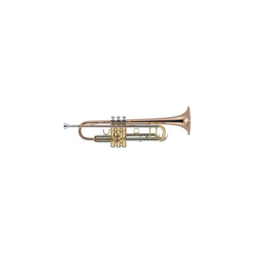 Trompeta J. Michael TR-450