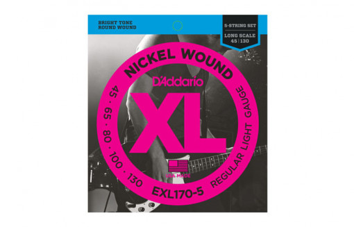 Daddario EXL170-5 Regular Light 45-130