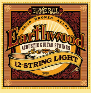 Ernie Ball Bronze 12 Light 2010