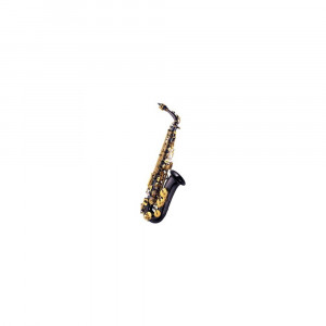 J.MICHAEL AL-800BL SAXOFON ALTO NEGRU