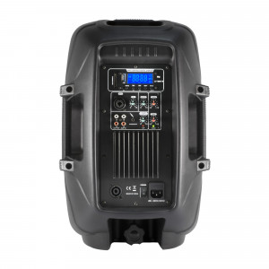 SAL PAX 25PROA, 220 W, 94 dB - Img 3