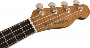 Fender Zuma Exotic Concert WN Spalted Maple - Img 3
