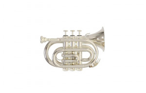 Trompeta buzunar Bb Roy Benson PT-101S