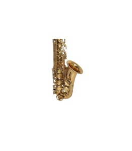 Saxofon Alto Parrot ZL118 Alto Sax Laquer