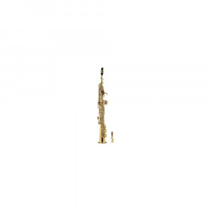 Saxofon sopran drept J. Michael SP-650S