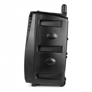 Boxa portabila Fenton FT8LED-MK2  170.018, cu baterie si microfon, bluetooth, bass 1x8''