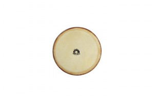 Gewapure Fata conga CLUB SALSA PRO 11"