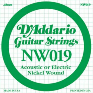 Daddario NW019