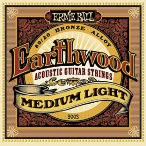 Ernie Ball Earthwood Bronze 2003