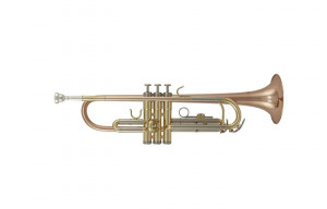 Trompeta Bb Roy Benson TR-202G
