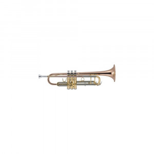 Trompeta J. Michael TR-450