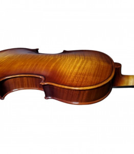 Zeta ZV04 Acoustic Pro - Img 3
