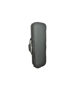 Cutie vioara 4-4 Parrot  TSS04V 001