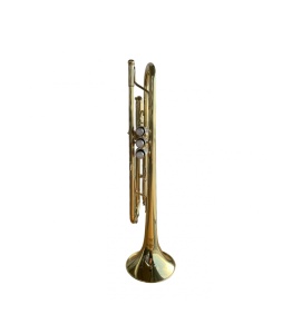 Parrot 6416L-1 – Trompetă profesională din alamă aurită, valve inoxidabile, diametru ML, cu mustiuc și cutie rigidă