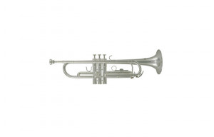 Trompeta Bb Roy Benson TR-202S
