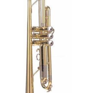 Trompeta PARROT 6416 L