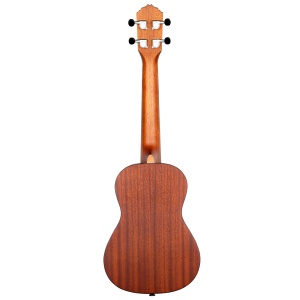 Ukulele Concert Ortega Bonfire RU5 – Față Molid, Finisaj Satinat - Img 4
