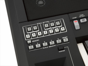 Yamaha PSR-A3000 - Img 2