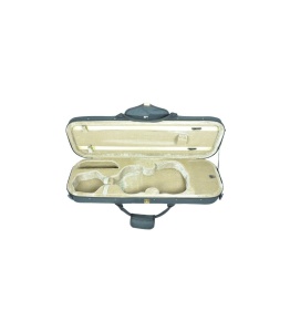 Cutie vioara 4-4 Parrot  TSS04V 001