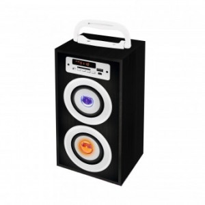 Difuzor portabil multimedia BT 2800/BK