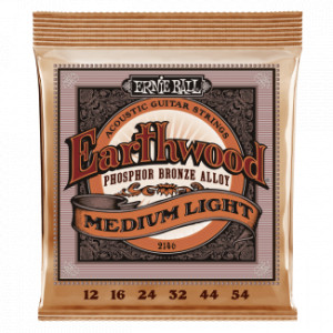 EARTHWOOD PHOSPHOR BRONZE MEDIUM LIGHT 12-54 2146