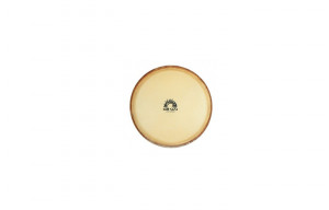 Gewapure Bongo head CLUB SALSA PRO 8,5"