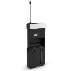 LD Systems U505 BPG  sistem wireless instrument