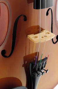 Stagg VN-3/4 vioara traditionala