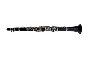 Clarinet pentru copii Roy Benson CG-200C