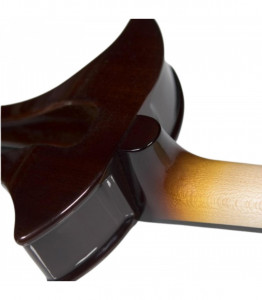 Zeta SV24 Artist FlmMp StMp Tobacco Burst - Img 4