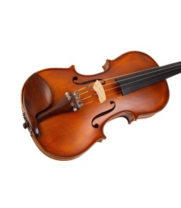 Karl Hoffmeister MV200-1 Academy Plus – Vioară 4/4 Set complet, finisaj mat - Img 10