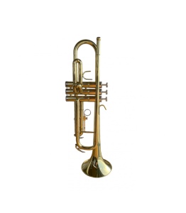 Parrot 6416L-1 – Trompetă profesională din alamă aurită, valve inoxidabile, diametru ML, cu mustiuc și cutie rigidă - Img 2