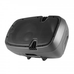 SAL PAX 25PROA, 220 W, 94 dB - Img 2