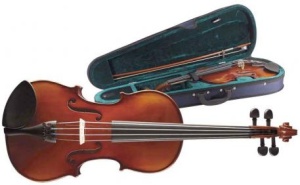 Stagg vioara VN-1/2