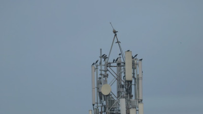 4G sau 5G: explorarea progreselor în tehnologia rețelelor