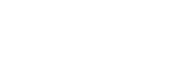 Netopia