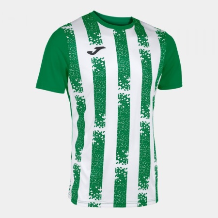Tricou barbati Inter III, Joma, Verde-Alb